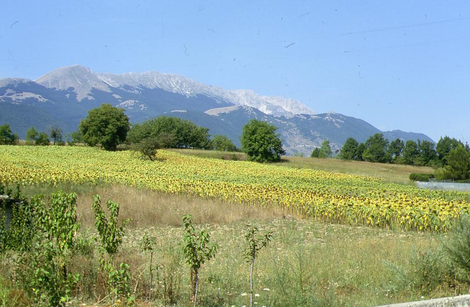 Monte SIRENTE in Abruzzo